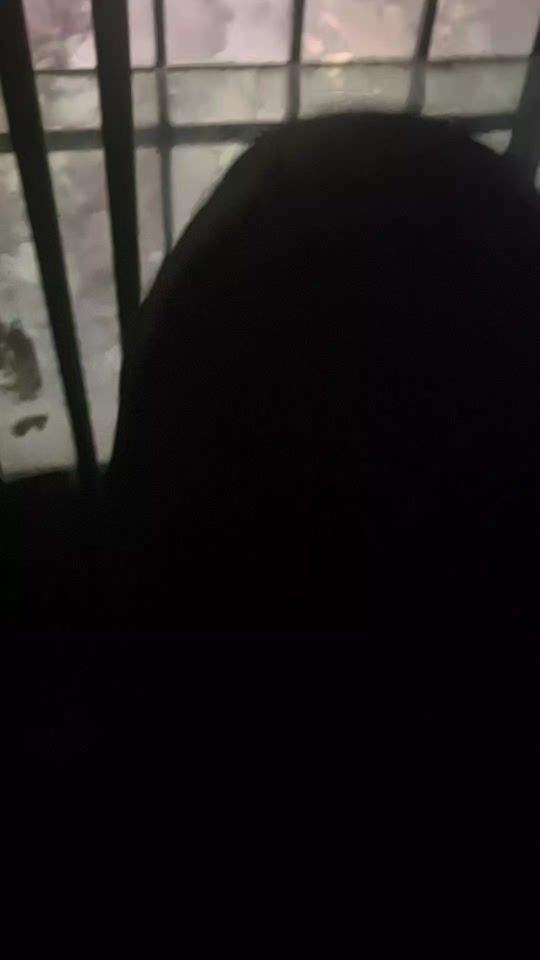 TikTok video thumbnail by up.tp0