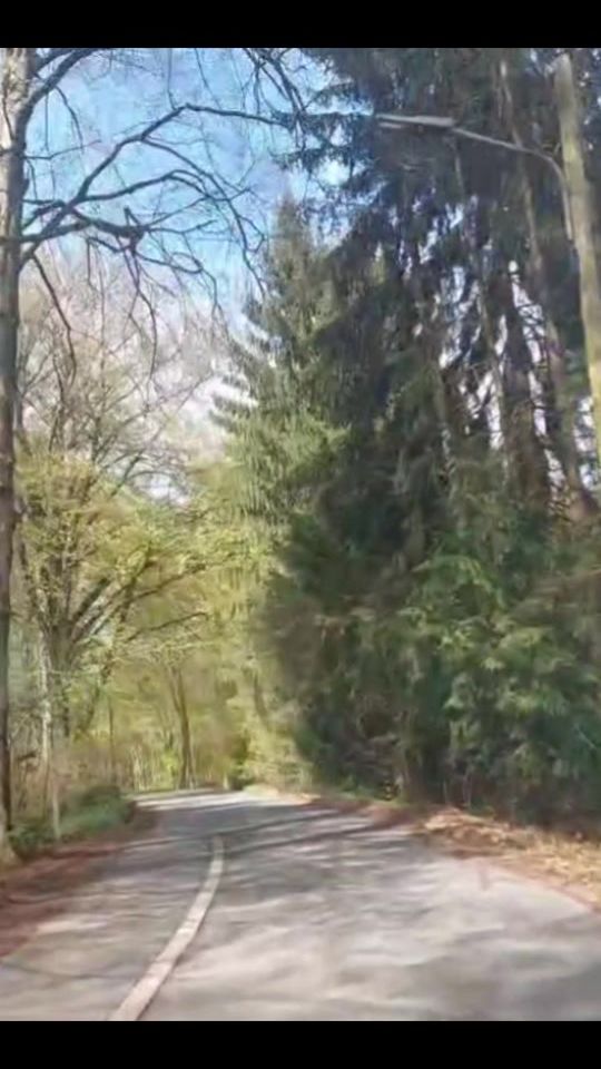 TikTok video thumbnail by usernamefier30fier