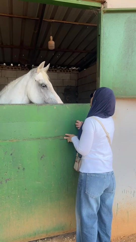 TikTok video thumbnail by shereen_alset