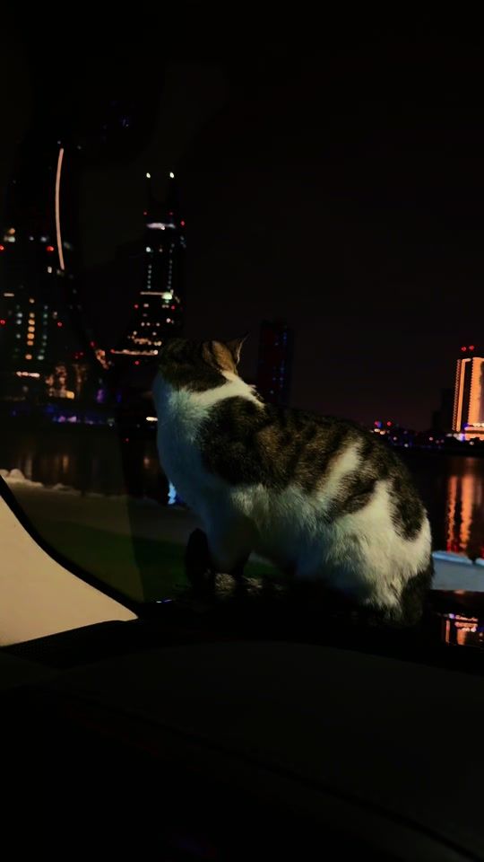 TikTok video thumbnail by bou_abdulla