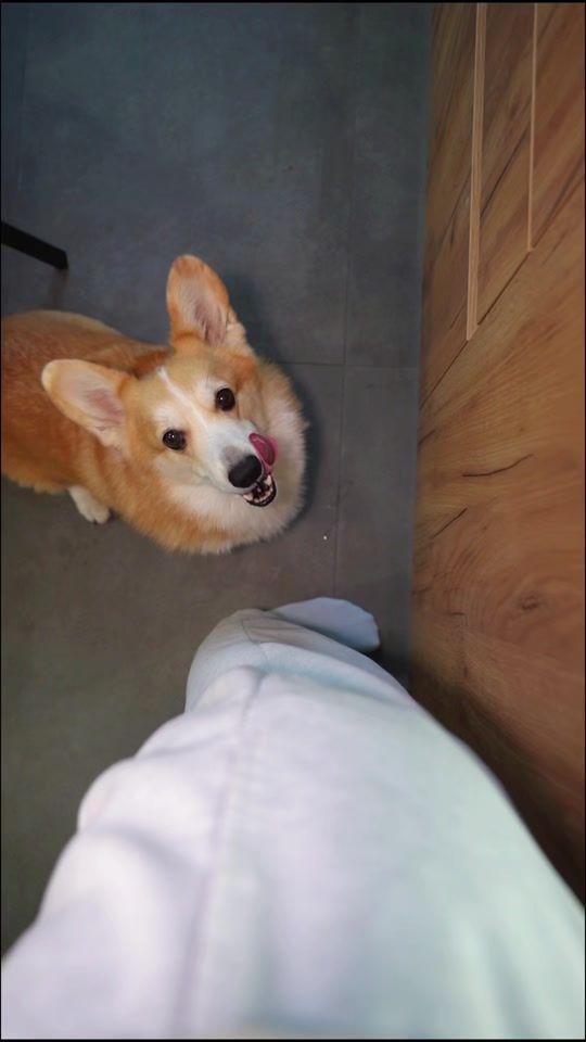 TikTok video thumbnail by benandangy