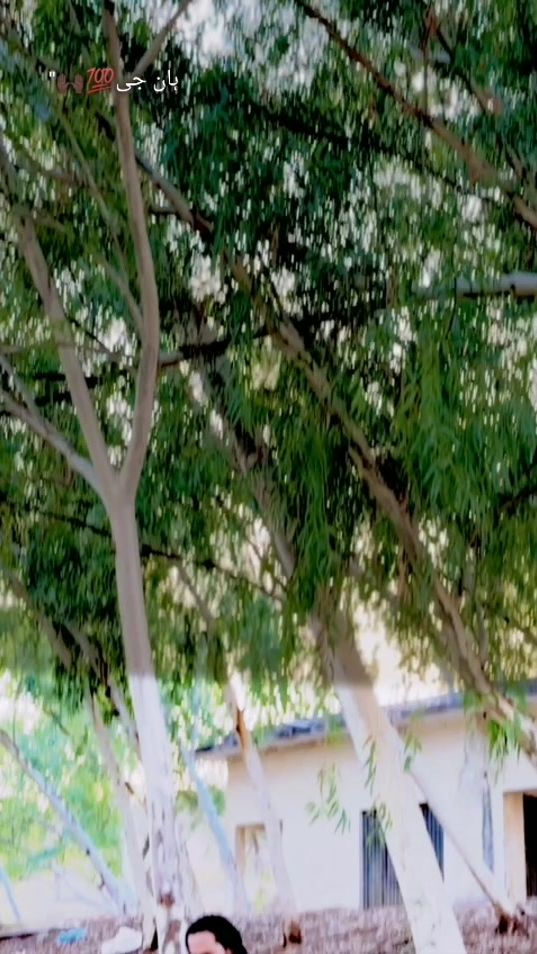 TikTok video thumbnail by ballu___brand___1