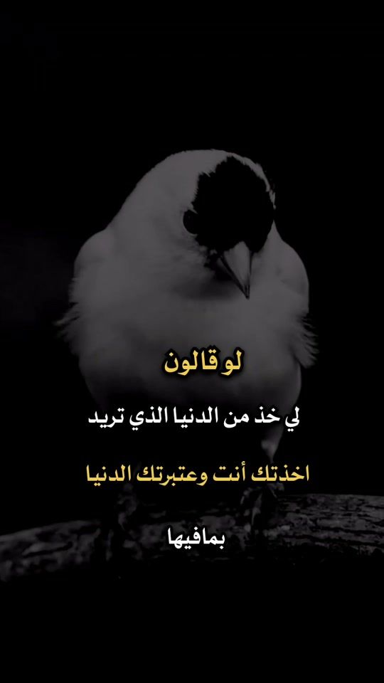 TikTok video thumbnail by 1447v7