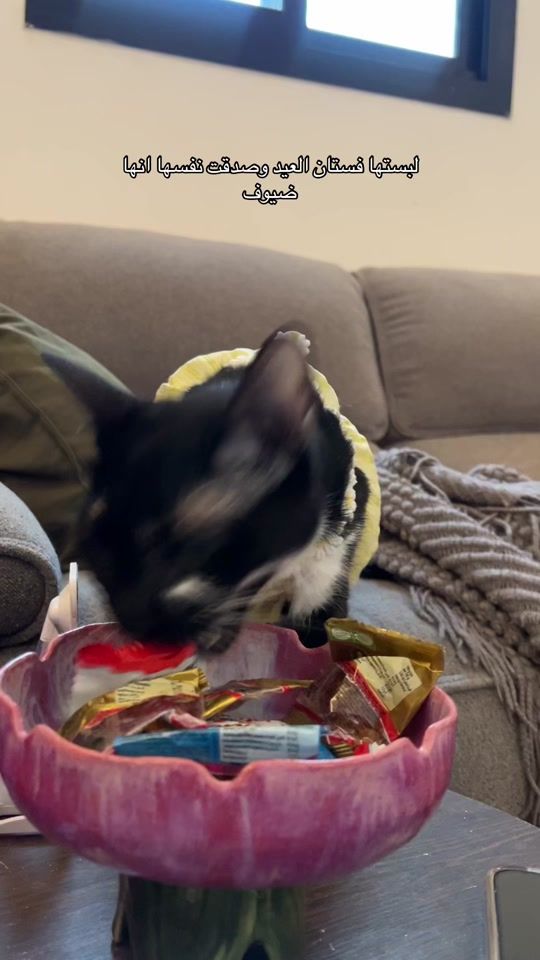 TikTok video thumbnail by linda.ixx