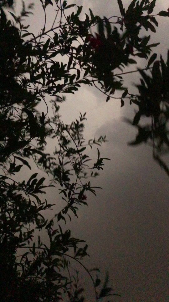 TikTok video thumbnail by aleeyhusain