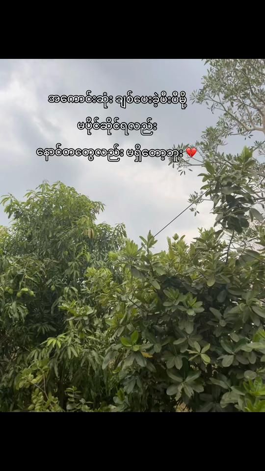 TikTok video thumbnail by thwetar4489