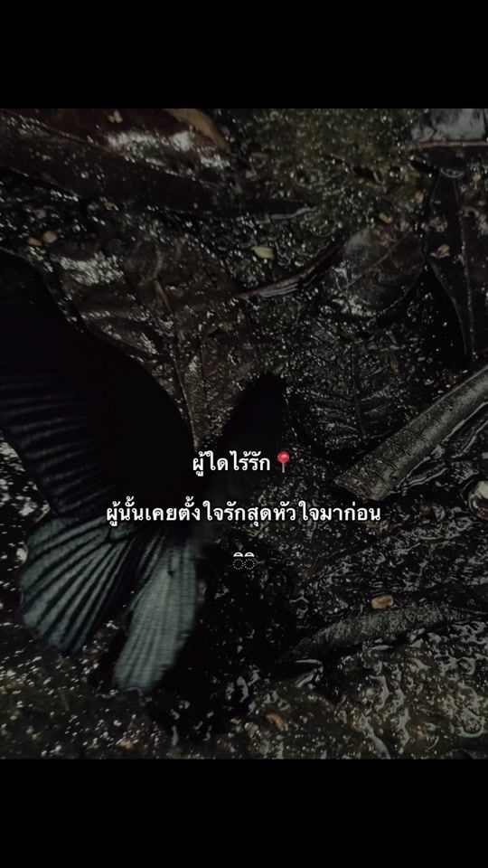 TikTok video thumbnail by cha.nonoe
