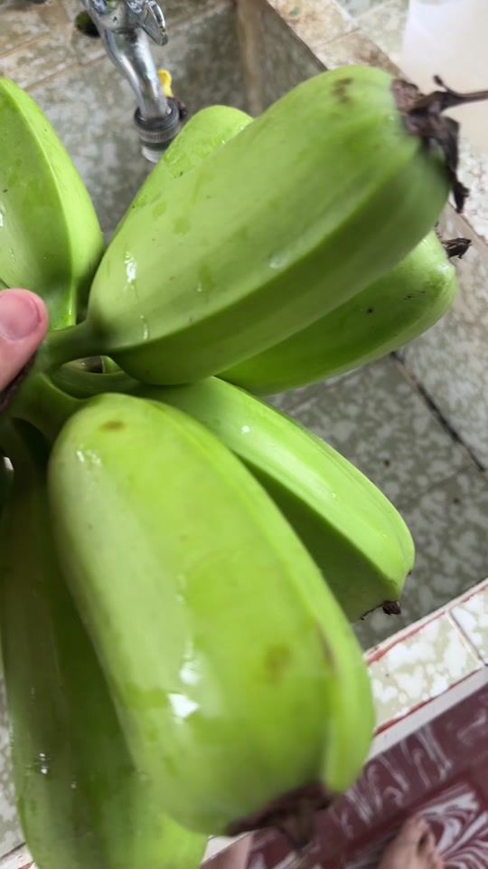 TikTok video thumbnail by johelgodinez