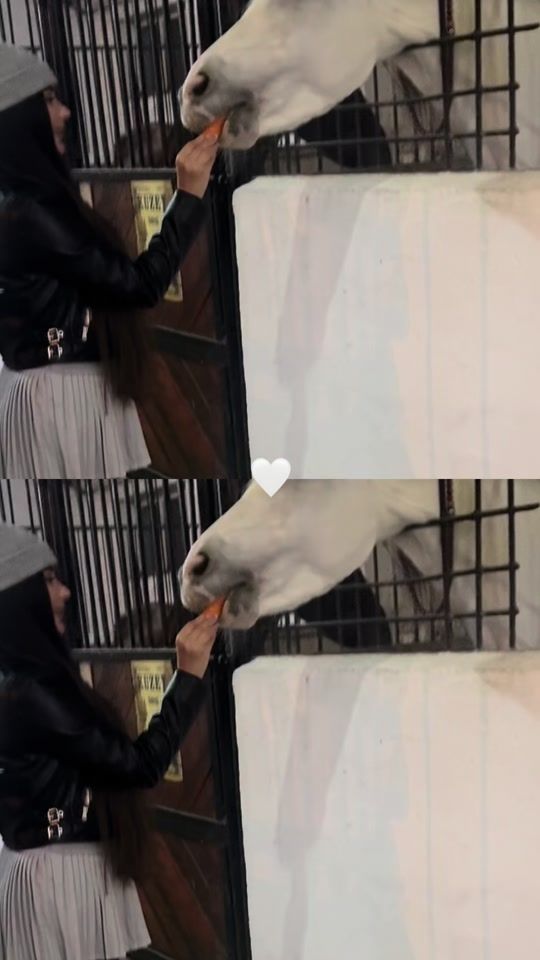 TikTok video thumbnail by arzushh._