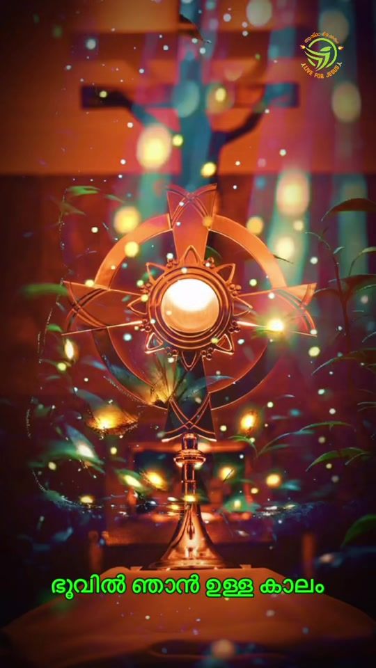 TikTok video thumbnail by dj112353