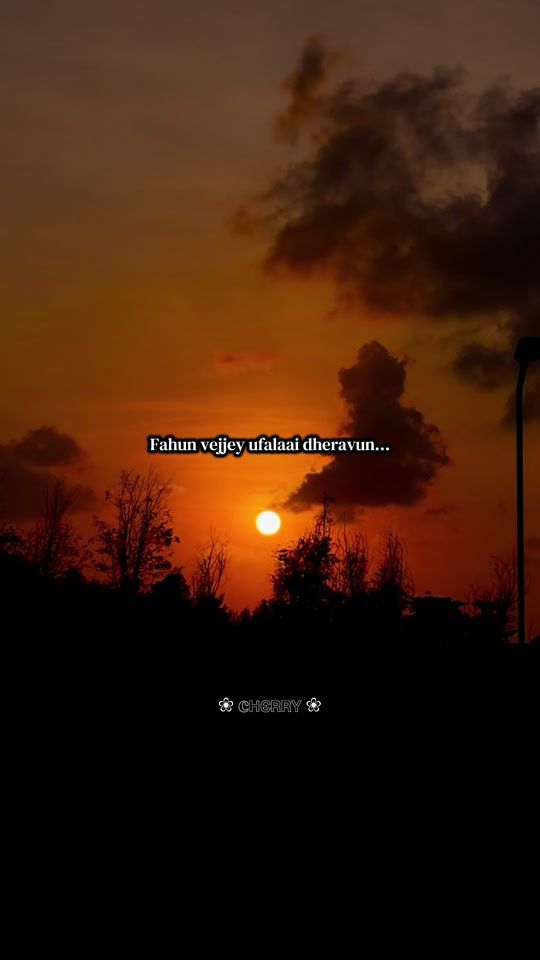 TikTok video thumbnail by raffrauff