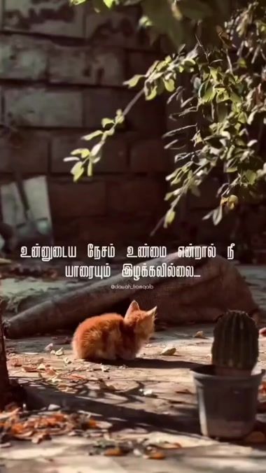 TikTok video thumbnail by asf_efx