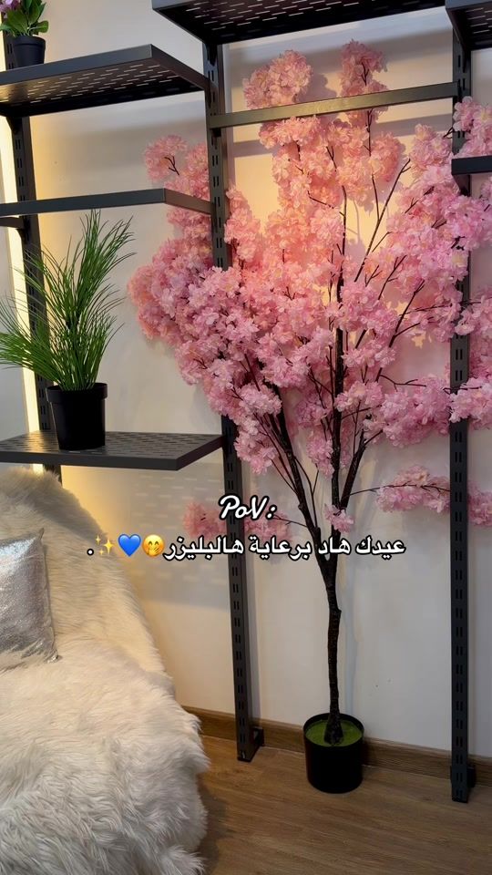 TikTok video thumbnail by sanori_nablus