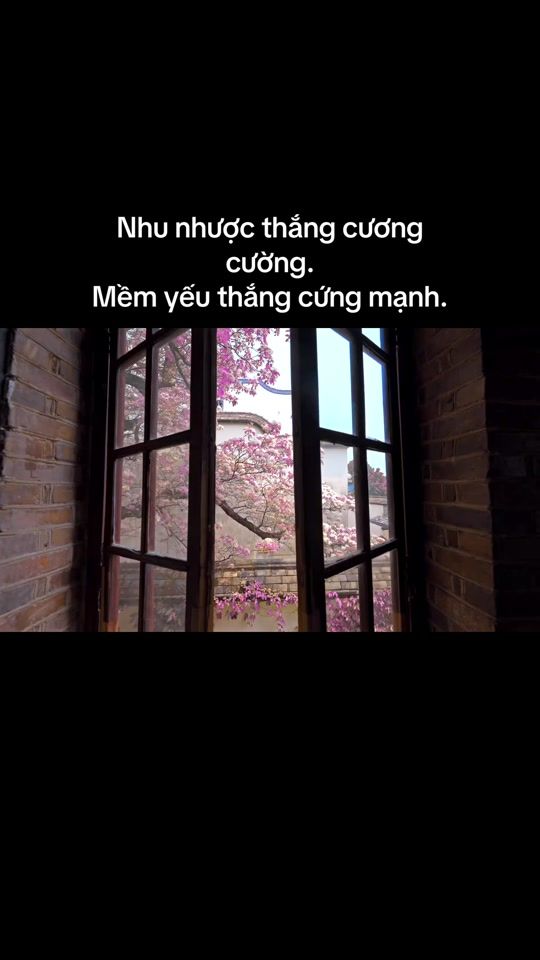 TikTok video thumbnail by dao.tam.y