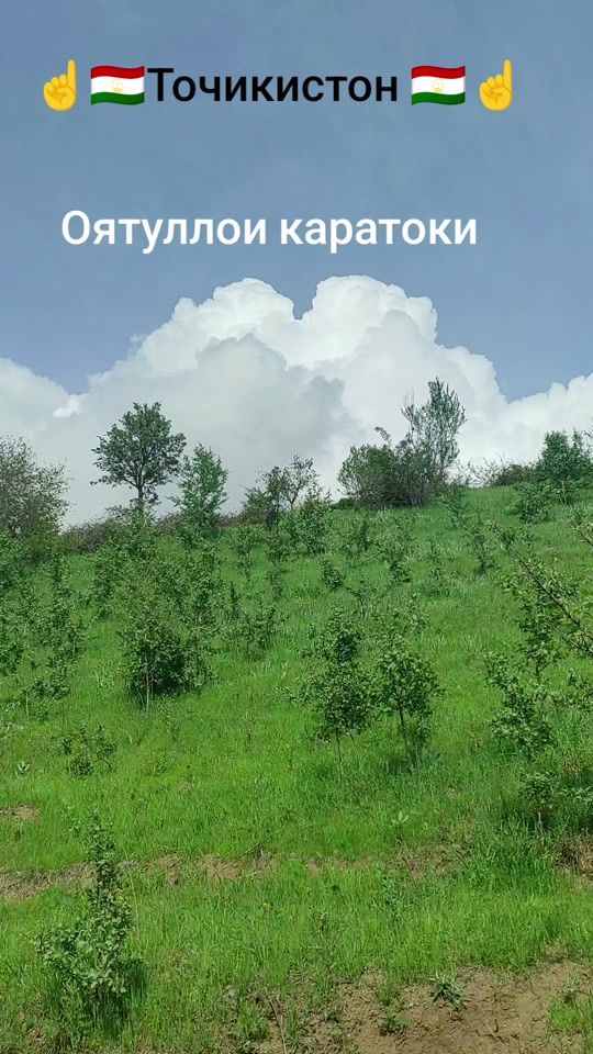 TikTok video thumbnail by user2461485934794