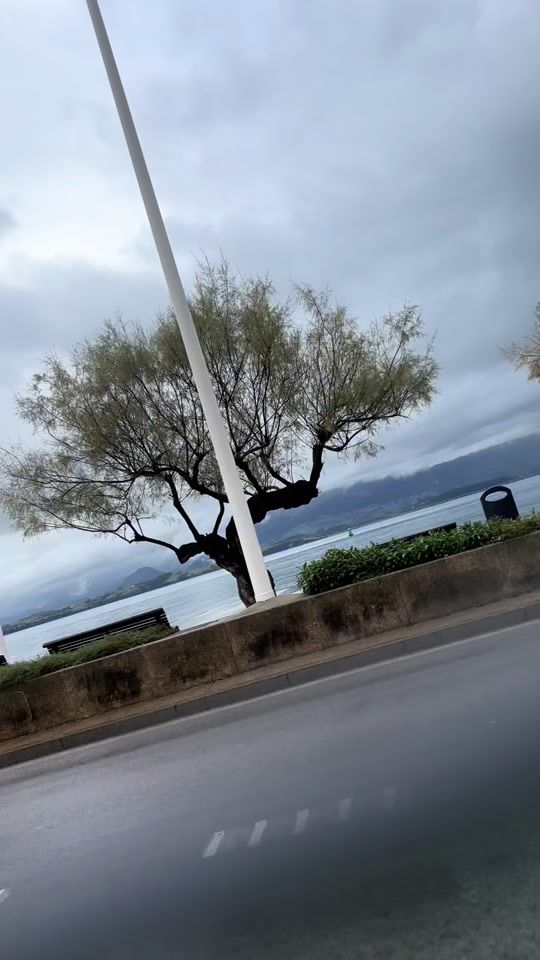 TikTok video thumbnail by redted2
