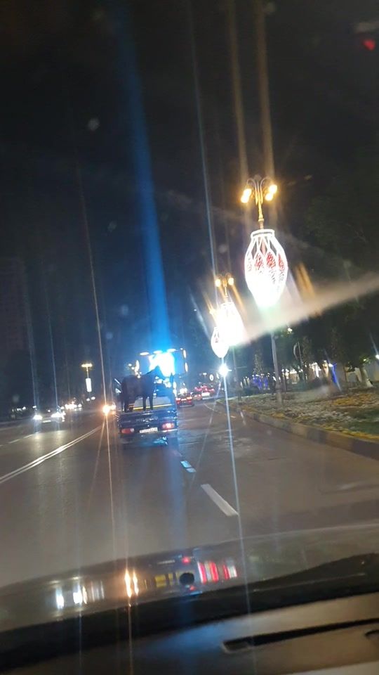 TikTok video thumbnail by malish.fan.klub