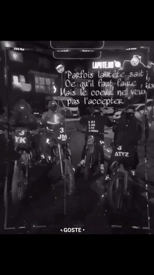 TikTok video thumbnail by vendeurdechien