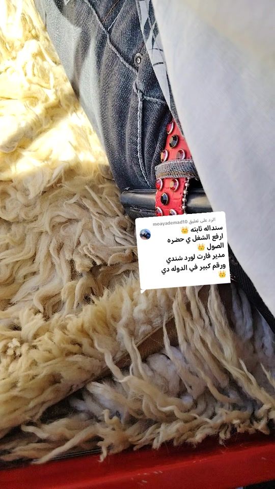 TikTok video thumbnail by user60917851927