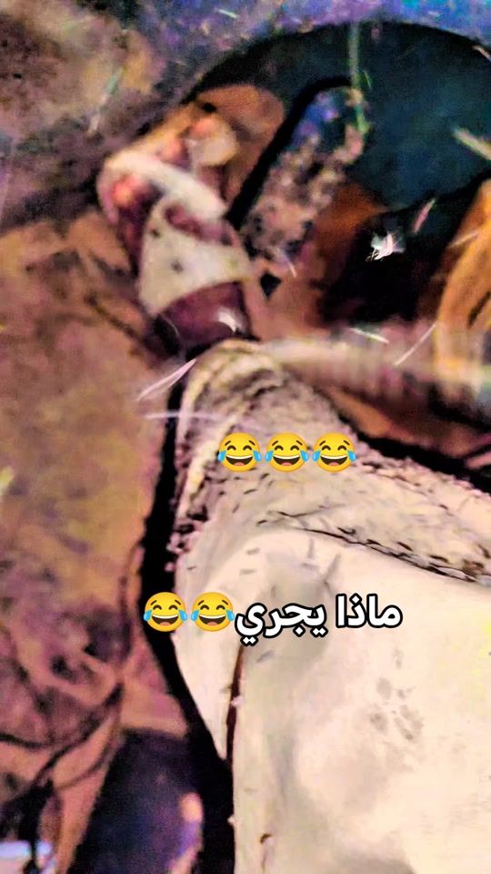 TikTok video thumbnail by ahmed68189