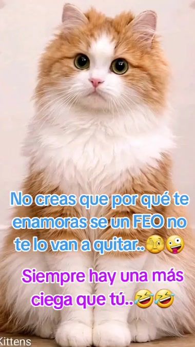 TikTok video thumbnail by edithkarinpalomin3