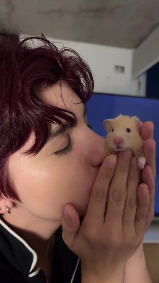 TikTok video thumbnail by moettekita