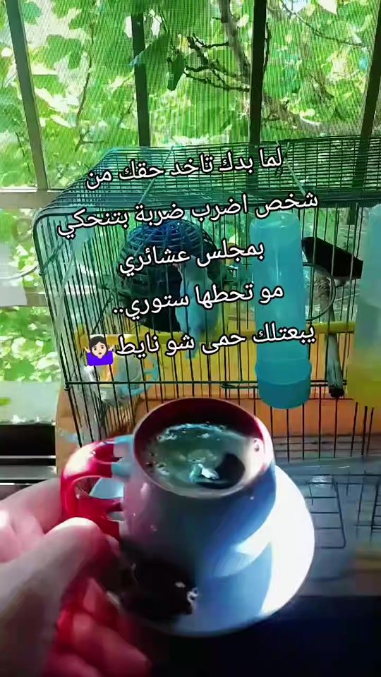 TikTok video thumbnail by bntalsham33
