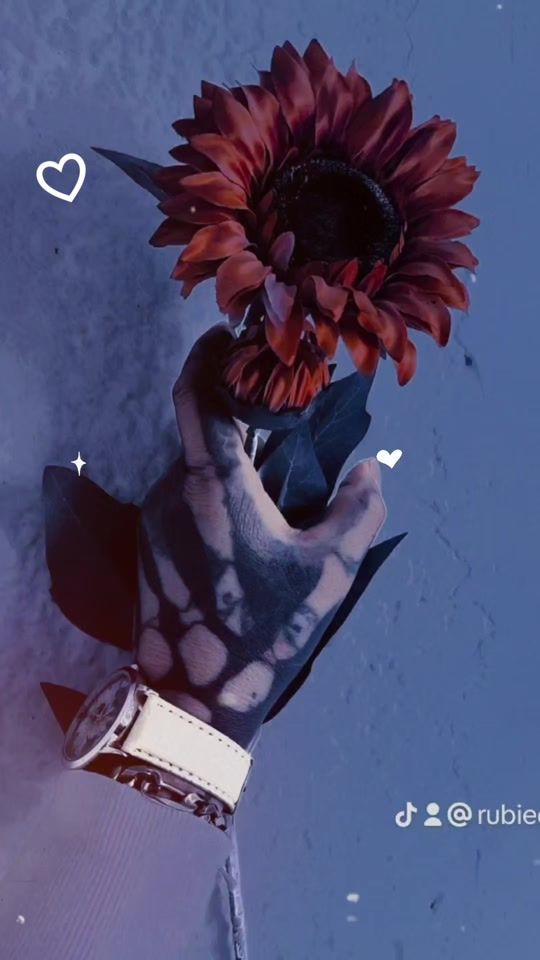 TikTok video thumbnail by rubiecitasvs