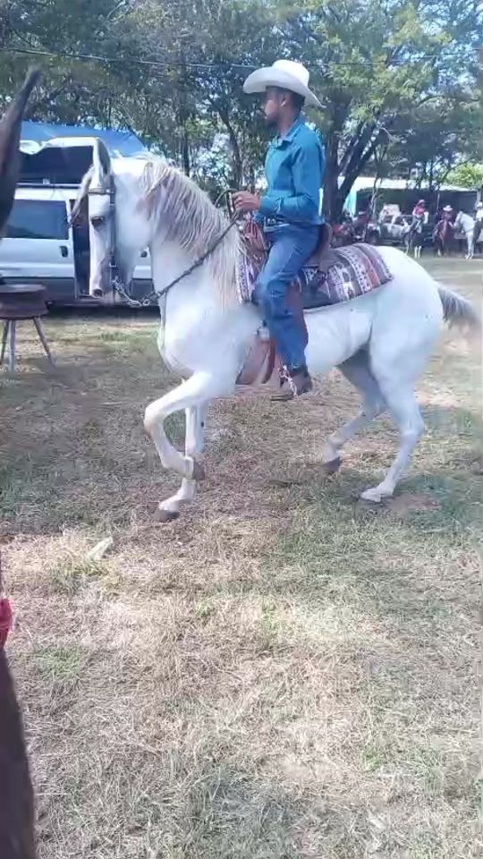 TikTok video thumbnail by wagnerzepeda