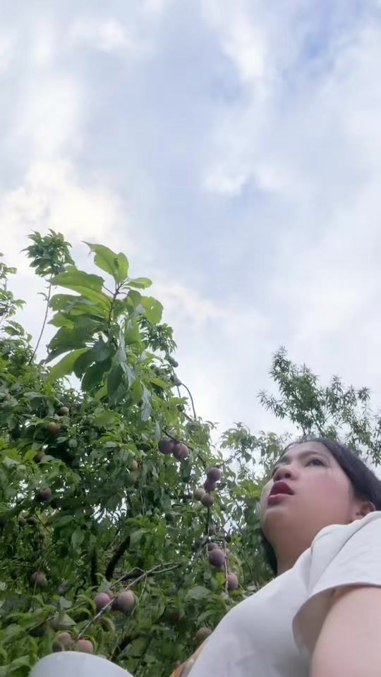 TikTok video thumbnail by nyuamnpua0