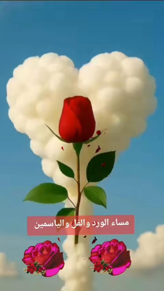 TikTok video thumbnail by shayma_shosho