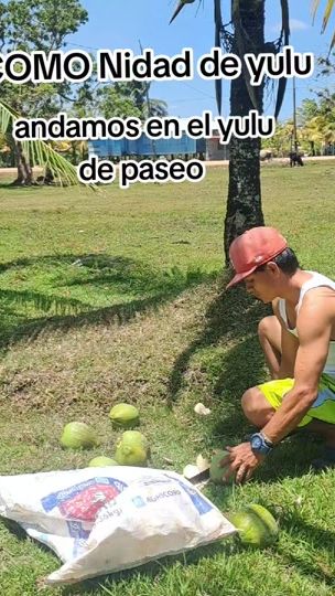 TikTok video thumbnail by lales283