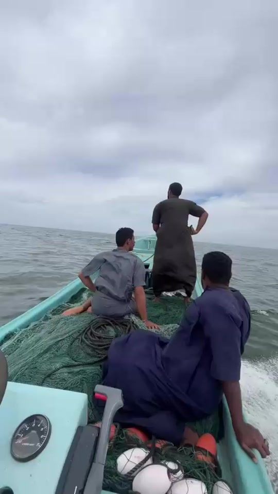 TikTok video thumbnail by ..fg__