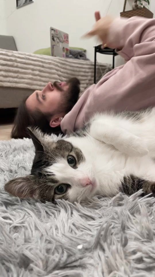 TikTok video thumbnail by janehorney