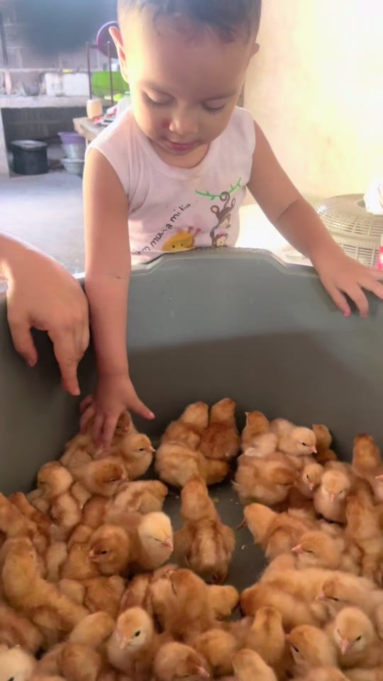 TikTok video thumbnail by lynny_h11