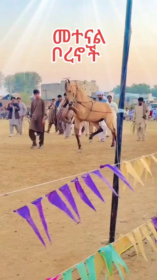 TikTok video thumbnail by mame.600