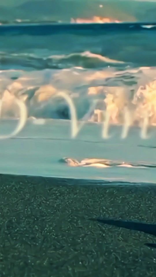 TikTok video thumbnail by ldlh01