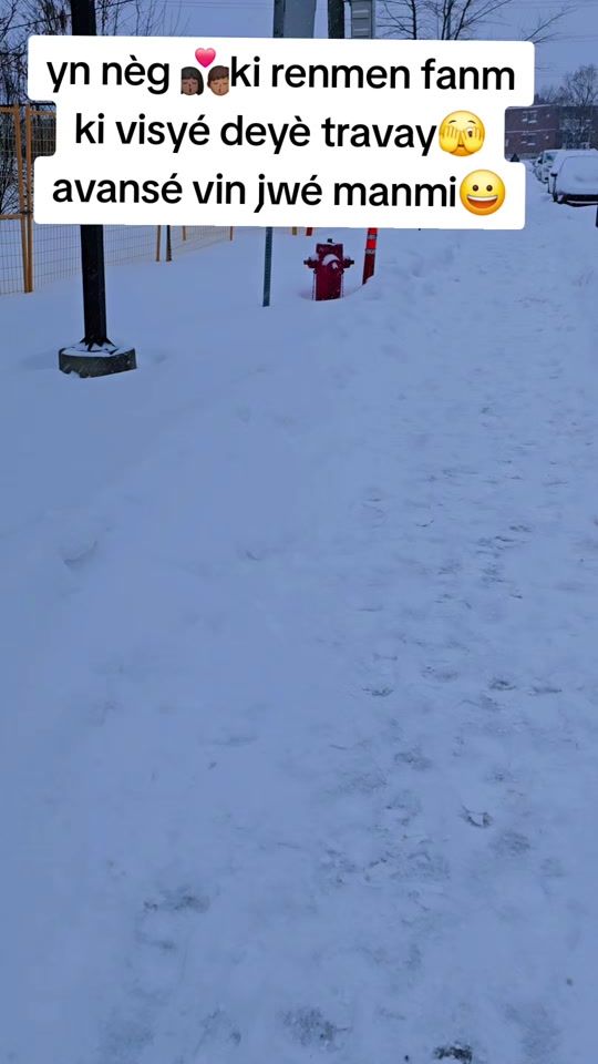 TikTok video thumbnail by mescocoscocottes