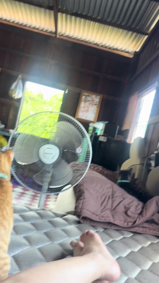 TikTok video thumbnail by puypuy2805