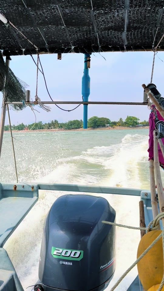 TikTok video thumbnail by paain25