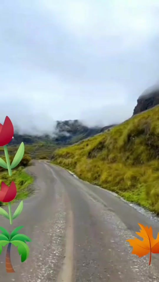 TikTok video thumbnail by wiliam4801