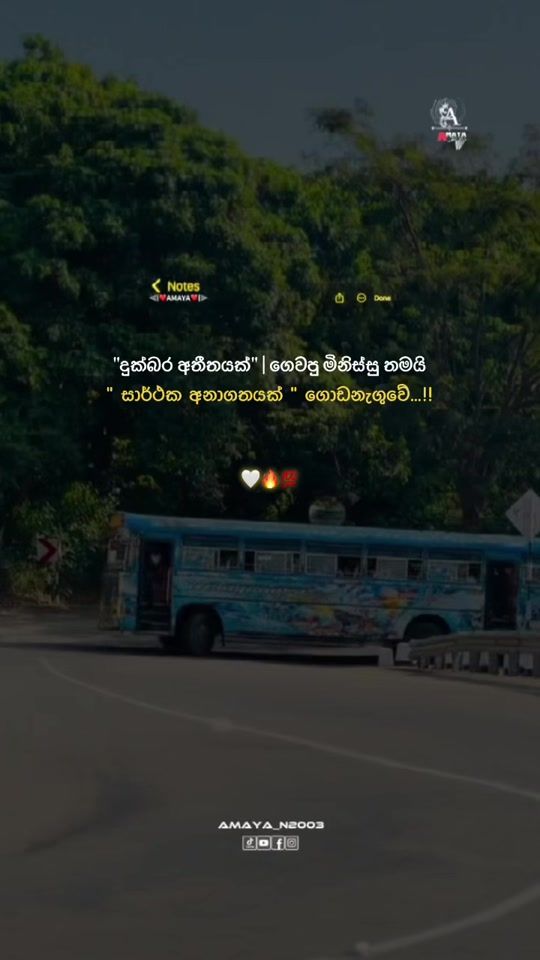 TikTok video thumbnail by amaya_n2003