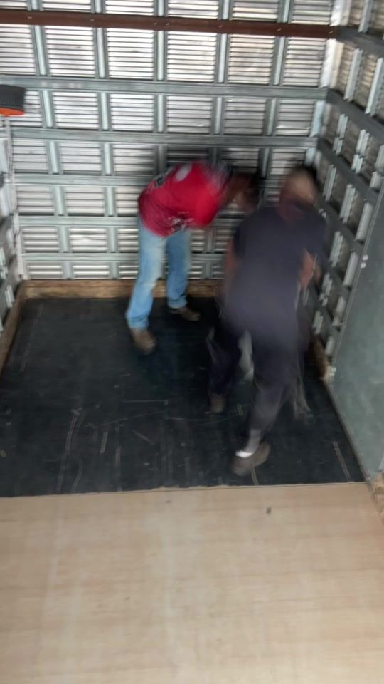 TikTok video thumbnail by digotransportes