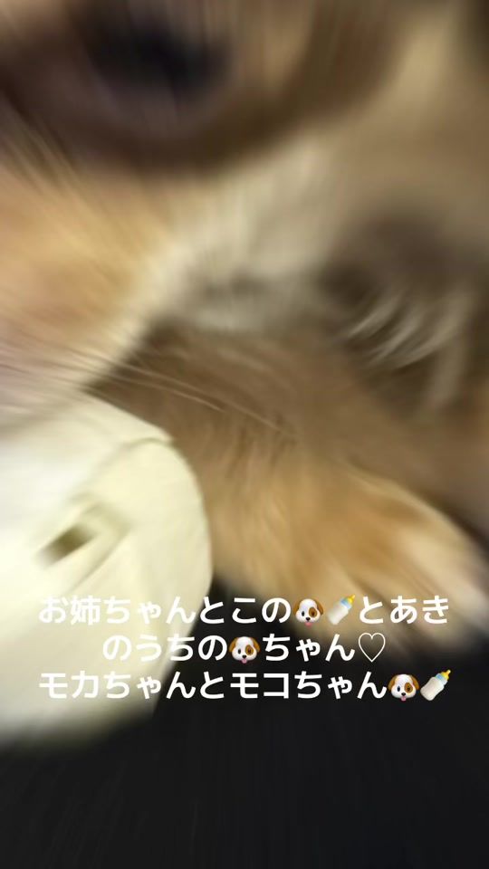 TikTok video thumbnail by aki97790