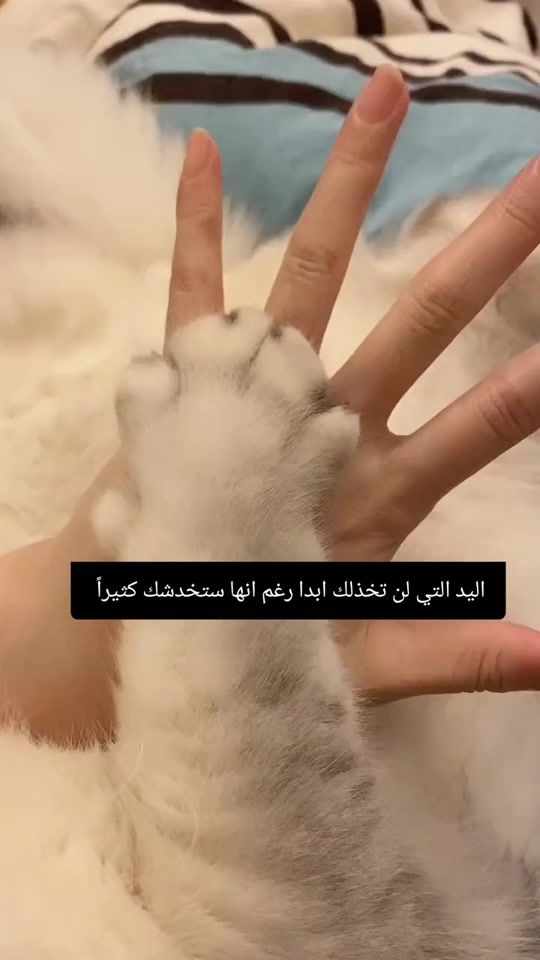 TikTok video thumbnail by b0iz0