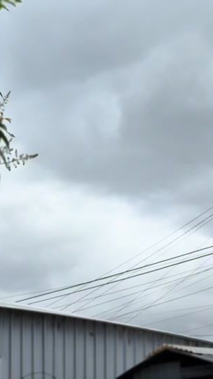 TikTok video thumbnail by fernandorizozaval