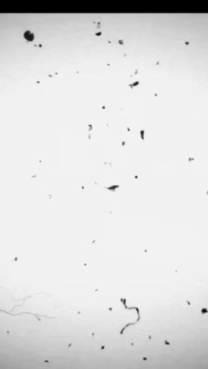 TikTok video thumbnail by 1ray.g