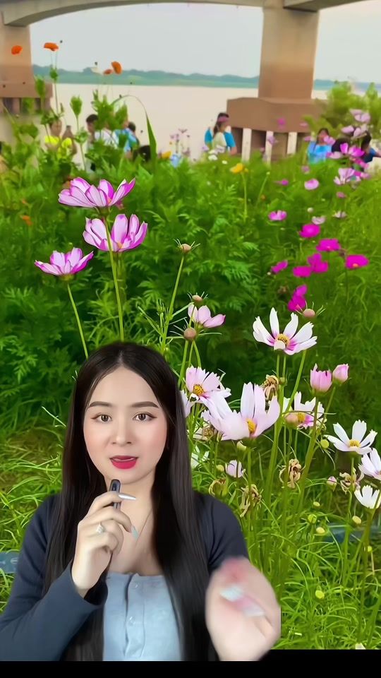 TikTok video thumbnail by chanthary_cbd