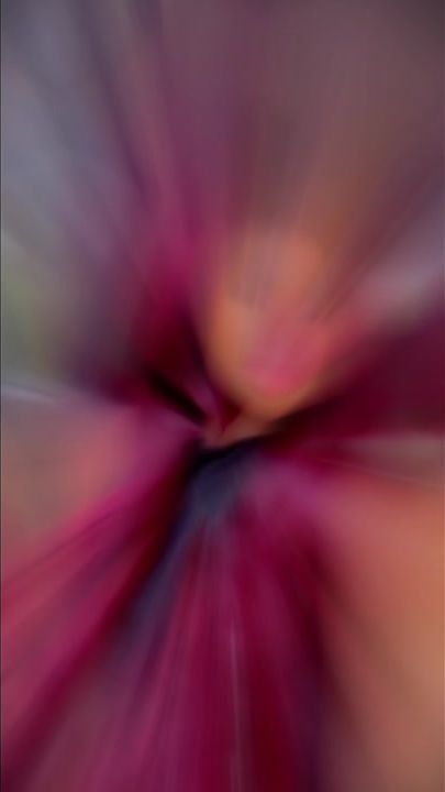 TikTok video thumbnail by penlop1