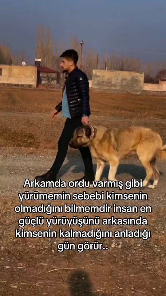 TikTok video thumbnail by azer_cakar04